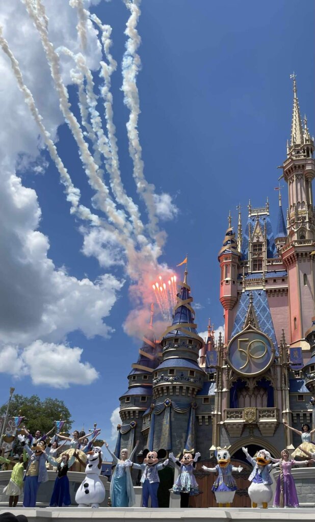 Disney characters, fireworks and Cinderella's Castle are the top reasons people visit Disney.